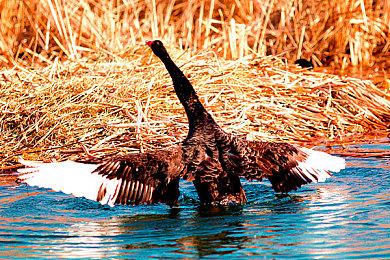 《毁灭工具》登陆Steam 建筑破坏动作