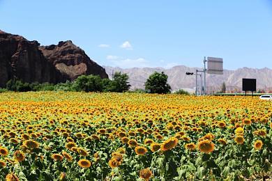 《铁拳8》“街机任务”实机演示 10月20日B测开始